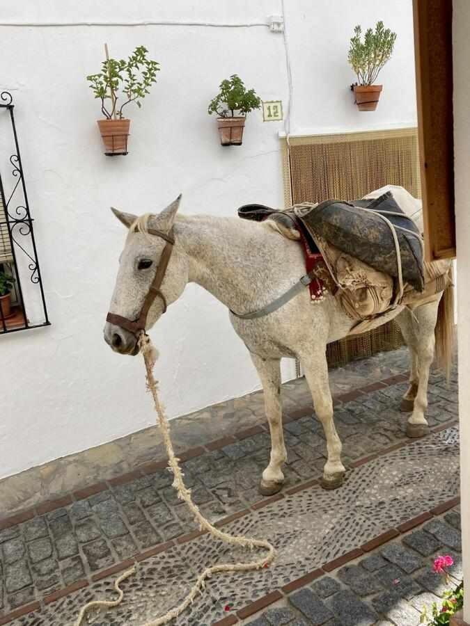 Casa Rural Villa Sila Benalauría 外观 照片